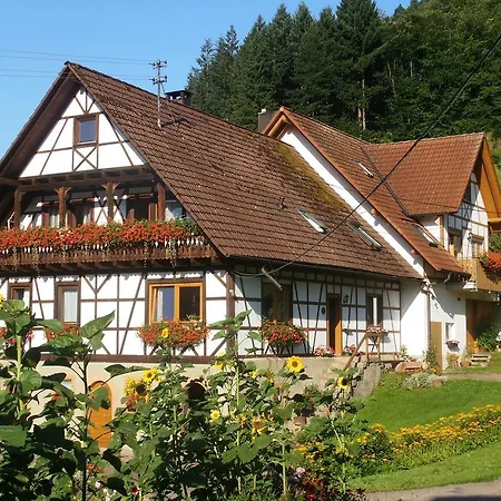 Steinhof Apartment Oberkirch  Exterior photo