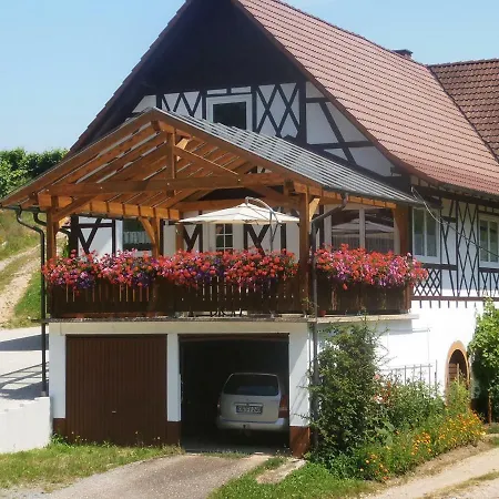 Steinhof Apartment Oberkirch  Exterior photo