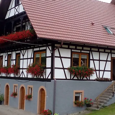 Steinhof Apartment Oberkirch  Exterior photo
