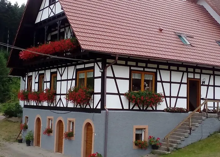 Steinhof