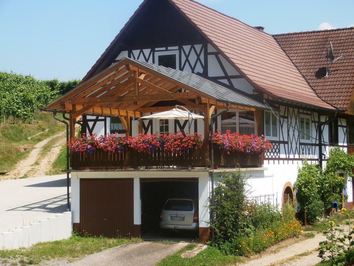 Steinhof Apartment Oberkirch (Baden)